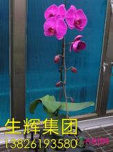 所有产品