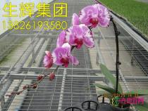 所有产品