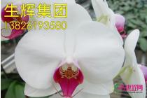 所有产品